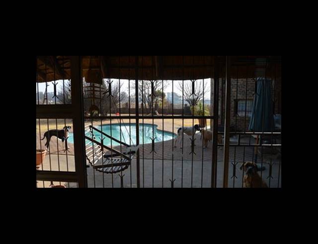 4 BEDROOM HOUSE FOR SALE IN HENLEY-ON-KLIP